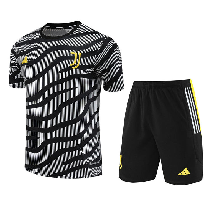 Juventus Trainingstrikot Grau gestreift Herren 2023-2024