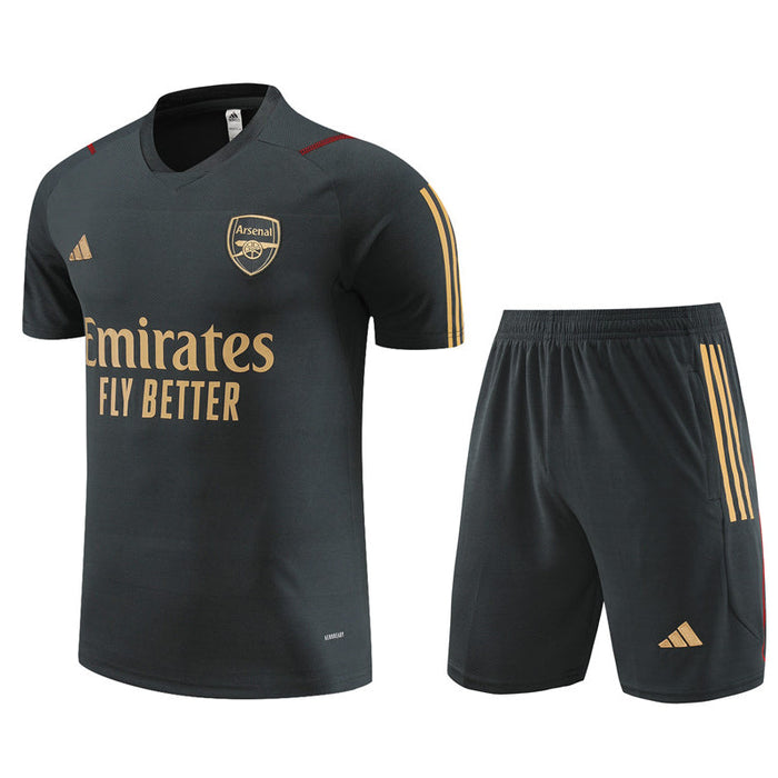 Arsenal Trainingstrikot Grau Herren 2023-2024