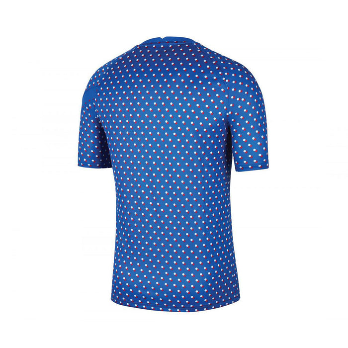 France Men's Training Jersey 2023 