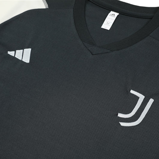 Juventus Trainingstrikot Schwarz Herren 2023-2024 